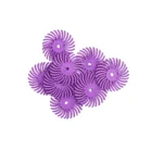 سرفرز لاستیکی خورشیدی بنفش پررنگ (500) تعدادی بر روی هم